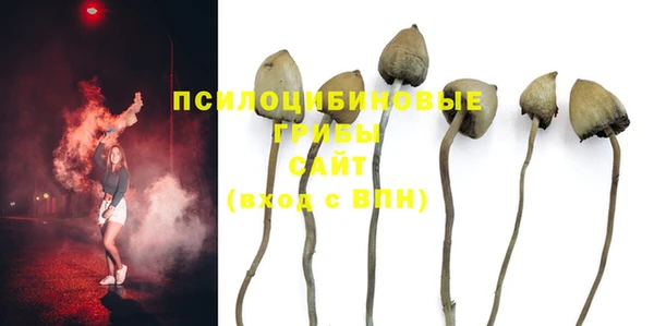 экстази Баксан